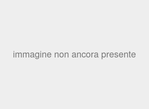Dettaglio Immagine